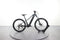 Trek Powerfly 4