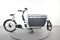 Urban Arrow Cargo Flight Case
