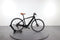 Giant Voya E+ 3