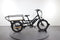 Rad Power Bikes RadWagon 4
