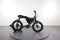 Ruff Cycles Lil Buddy