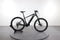 Trek Powerfly 4 Gen 4