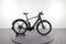 Trek Allant+ 9.9S