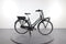 Gazelle Miss Grace C7+