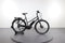 Batavus Dinsdag E-go Sport