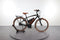Riese & Müller Cruiser Vario