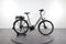 Trek Verve+1 Lowstep
