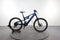 Raymon TrailRay 160E 9.0