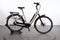 Gazelle Arroyo C8 HMB Elite