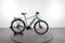 Raleigh Dundee LTD
