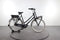 Gazelle Miss Grace C7+