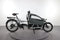 Riese & Müller Load 60 Touring