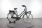 Gazelle Miss Grace C7+