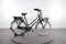 Gazelle Miss Grace C7+
