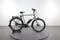 Batavus Dinsdag E-go Exclusive