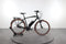 Riese & Müller Cruiser Vario