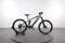 Trek Powerfly 5