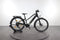 Cannondale Tesoro Neo X 2
