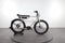 Ruff Cycles Biggie