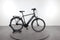 Raleigh Bristol LTD