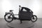 Riese & Müller Packster 70 vario