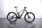 Orbea Wild H10