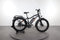 Rad Power Bikes RadRhino 5