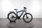 E.bikemanufaktur 15ZEHN EXT