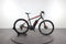 Trek Powerfly 4