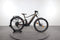 Scott Axis eRide Evo