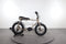 Ruff Cycles Lil'buddy