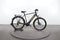 Raleigh Dundee LTD