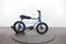 Ruff Cycles Lil Buddy