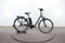 Raleigh Kingston 8