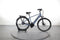 Raleigh Bristol XXL