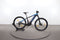 Trek Powerfly 5