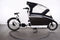 Urban Arrow Familiy Performance Plus
