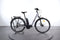 Raymon CityRay E 5.0