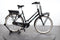 Gazelle Miss Grace C7+ HMB