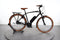 Riese & Müller Cruiser2 vario