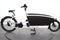 Urban Arrow Family Cargo Line