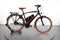 Riese & Müller Cruiser2 vario