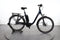 Raleigh Kingston 8 XXL