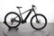 Trek Powerfly 4