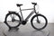 Raleigh Bristol XXL