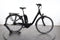 Raleigh Kingston 8 RT