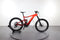 Giant Reign E+1 Pro