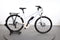 Winora Sinus Tria 7 Eco