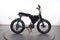 Ruff Cycles Lil Buddy