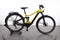 Bergamont E-Horizon FS Edition